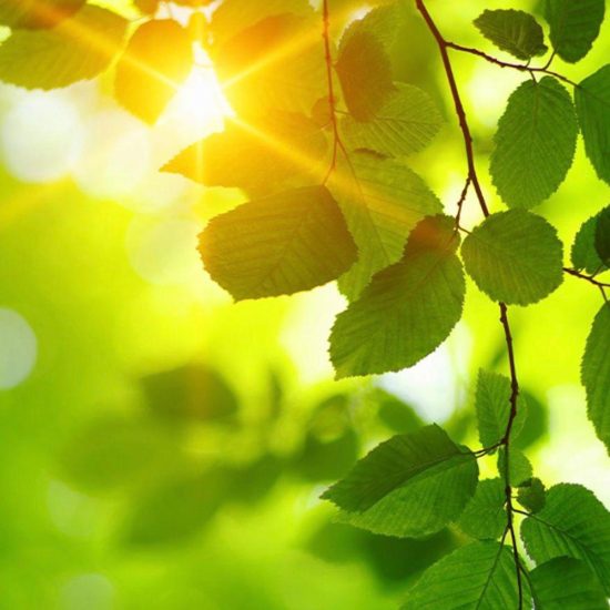 Infusionstherapie • Medizinische Infusionen – gezielte Unterstützung von innen Infusionstherapie • Medizinische Infusionen – gezielte Unterstützung von innen